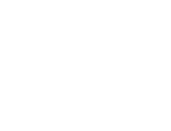 Amseel Cars, logo